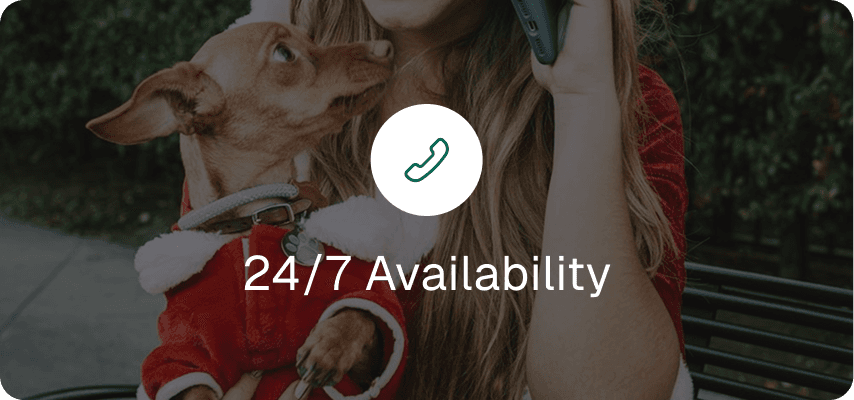 24/7 availability