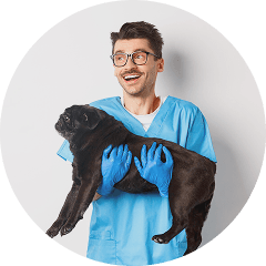 Dr. Phillip Korsgaard